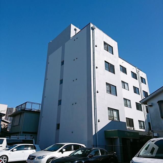 ウィングライフィア