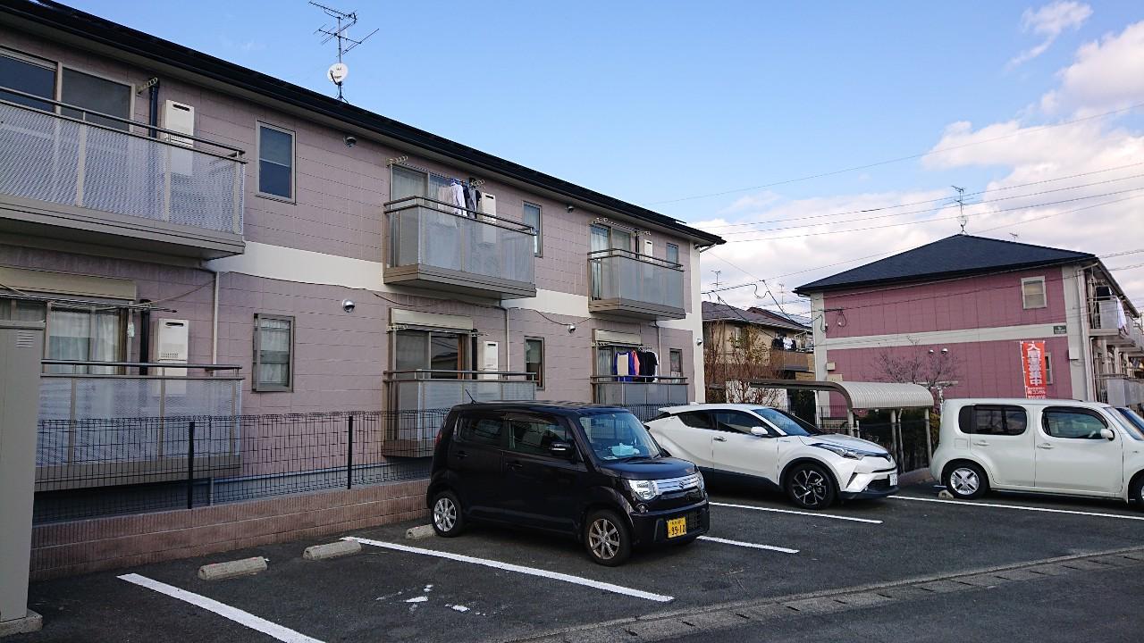 グラスグリーン菊陽