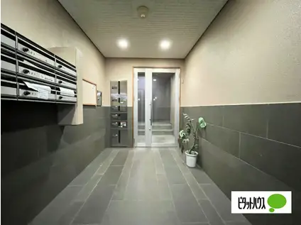 PINE イースト(1DK/3階)の外観写真