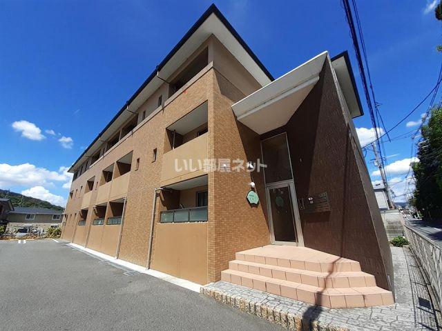 SCHONE小町