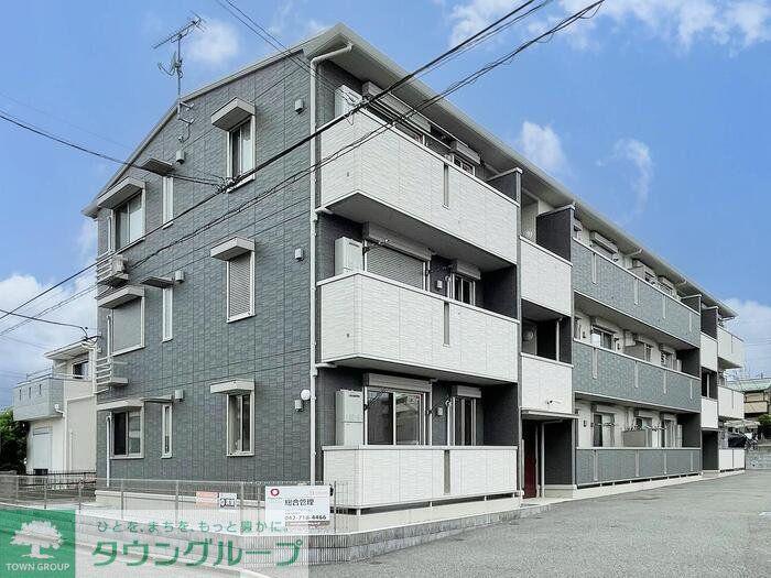 ポーロウニア横山