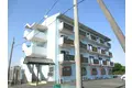 ドリームAZ V