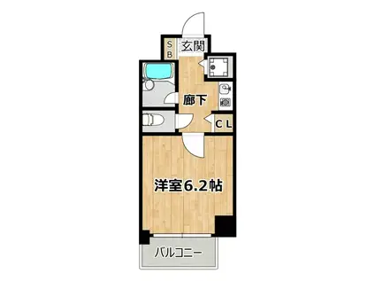 パラシオ塚本II(1K/11階)の間取り写真