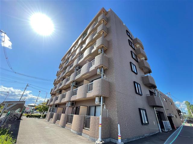 加藤BLD
