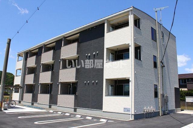 ブライト 光