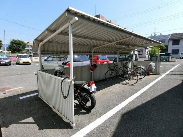 エクセルサツキ