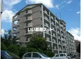 レスピーザ53
