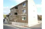 ポポラリタ24