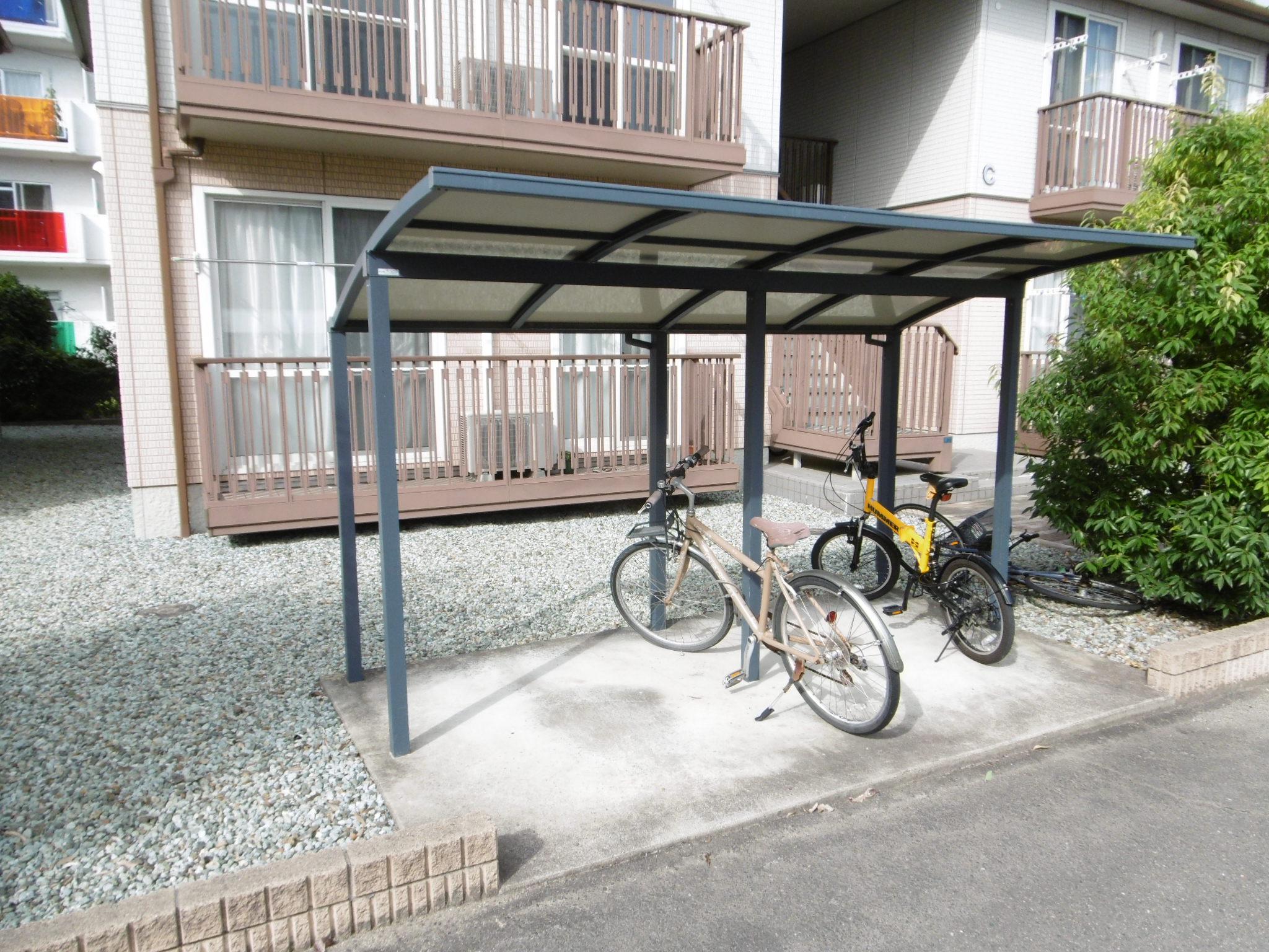 MAISON MAST桜C