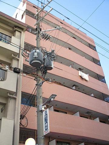 サンロイヤル長柄