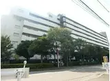鹿島田セントラルマンション