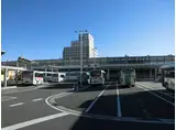 プリモ川曲