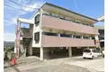 プリムローズ