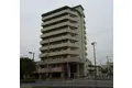 フラーリッシュ輝