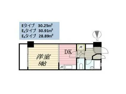 パセール長良(ワンルーム/1階)の間取り写真