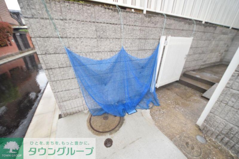 ハイムセラータ