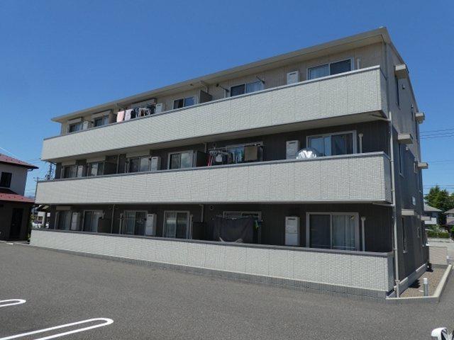 コンフォートM