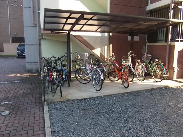 インポート久留米ルビーV