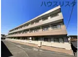 ロビンソンハイツ井野