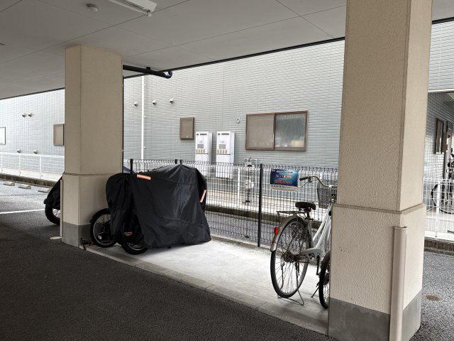 バンプロピスII