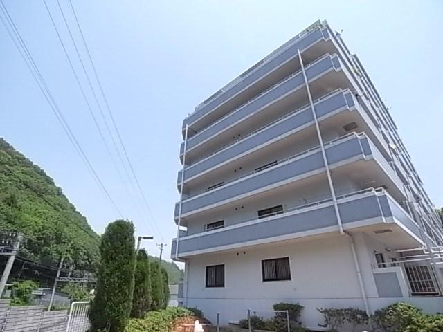 シルフィードドゥ唐櫃