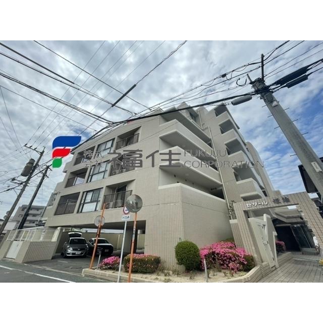 セザール姪浜