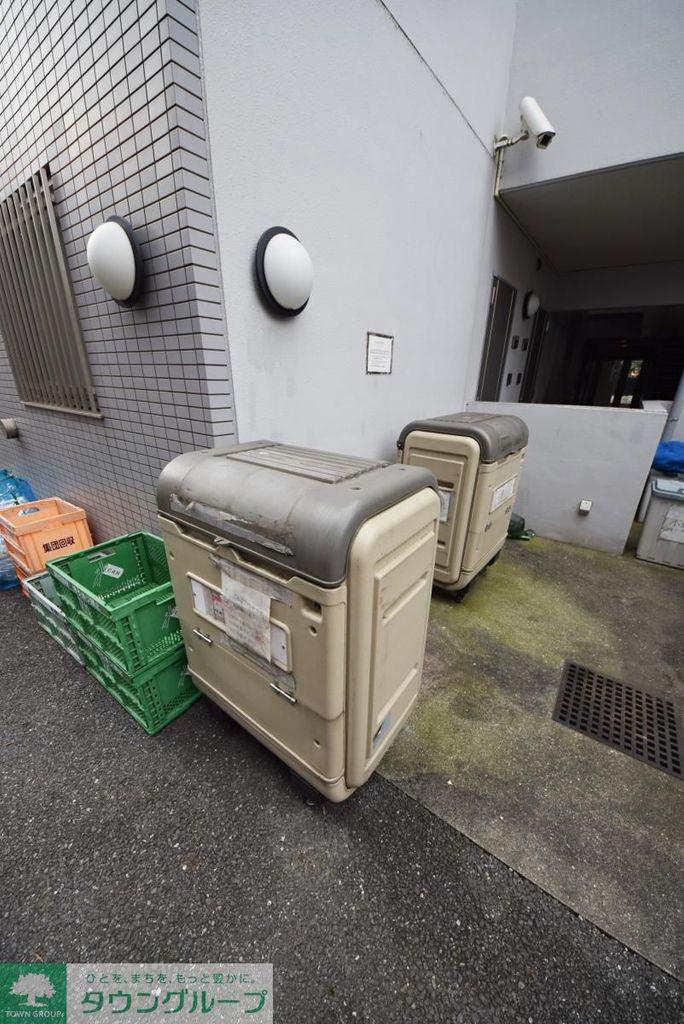 エバーグリーン