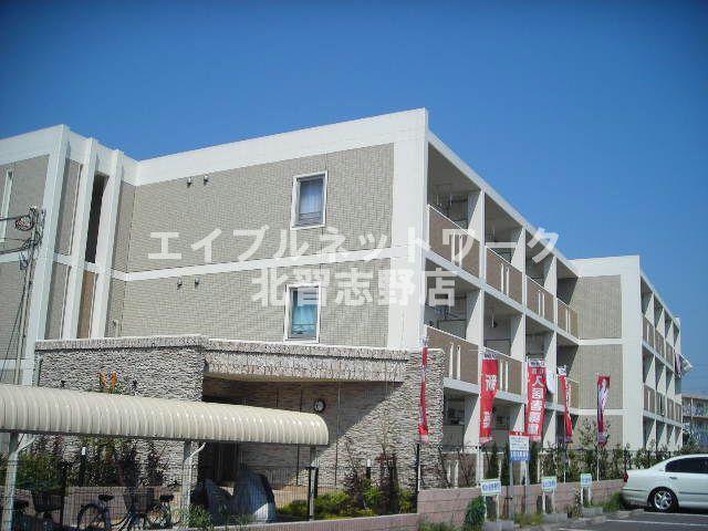 クリプトメリア