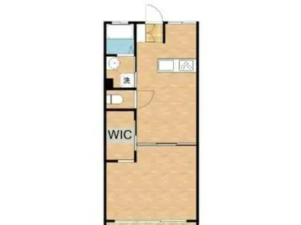 コーポモリ(1DK/2階)の間取り写真