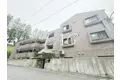 スターダスト柿生