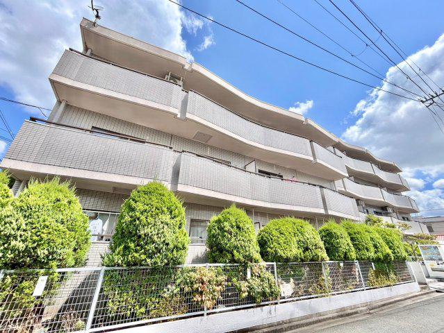シロハイヌ小阪