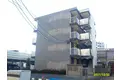 金城 マンション