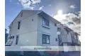 チッチとポッポB