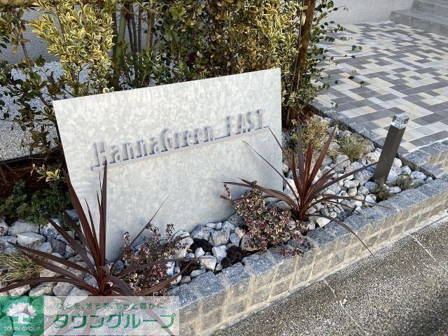 HANNA GREEN イースト