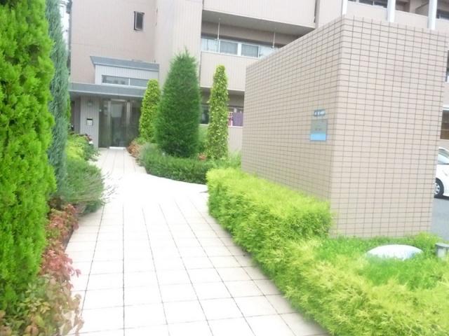ステラコート