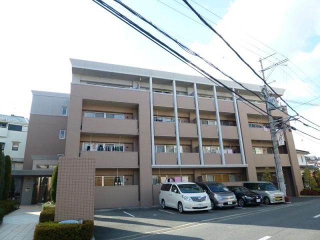 ステラコート