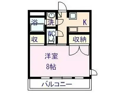 アメニティー伊島(1K/4階)の間取り写真