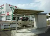 グリーン スギモト