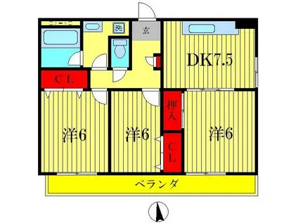 グレイスフルコート21(3DK/3階)の間取り写真