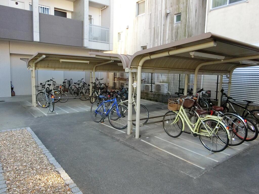 TSUBAKI