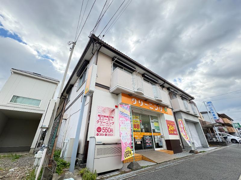 プラムナイン