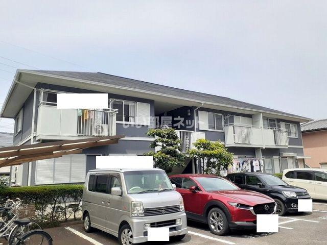 マドンナB