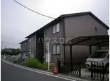 スプリングタイムC