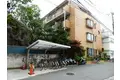 ハウスコットンテール