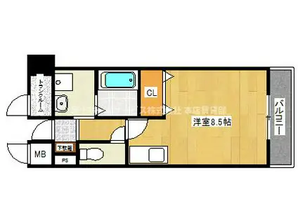 ドミール アプリコット(ワンルーム/1階)の間取り写真