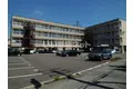ピュアパレス桔梗