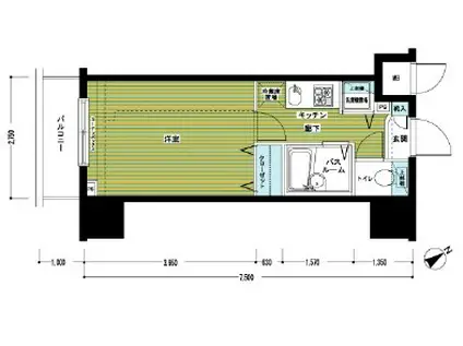 フェニックス新横濱イクシール(1K/10階)の間取り写真