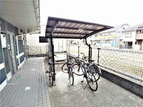レオネクストヒマワリ