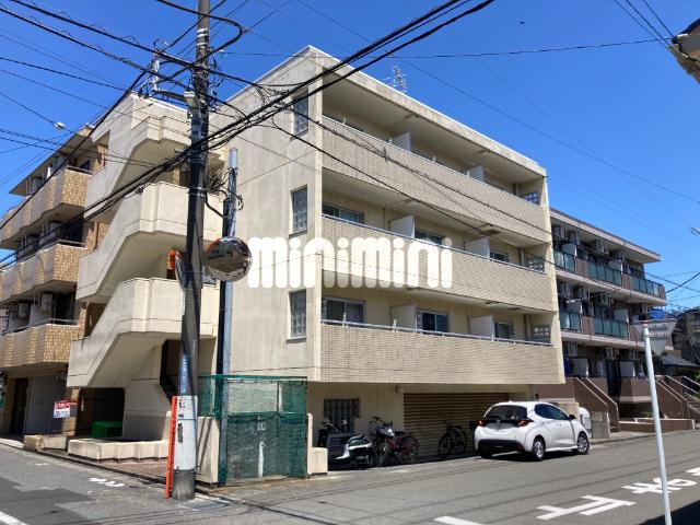 ドーム中央林間