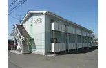 サープラス・アカハネ